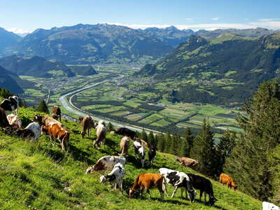 Liechtenstein | Bargälla and Rheintal