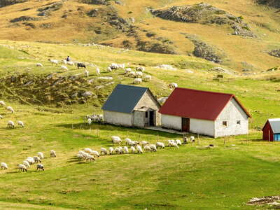 Durmitor | Dobri do