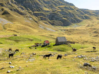 Durmitor | Todorov do