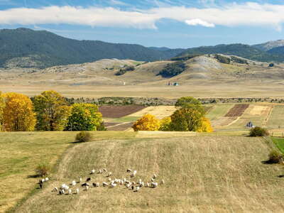 Jezerska površ | Rural landscape