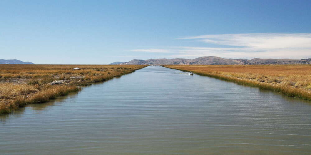 Lago Titicaca with reed belt
