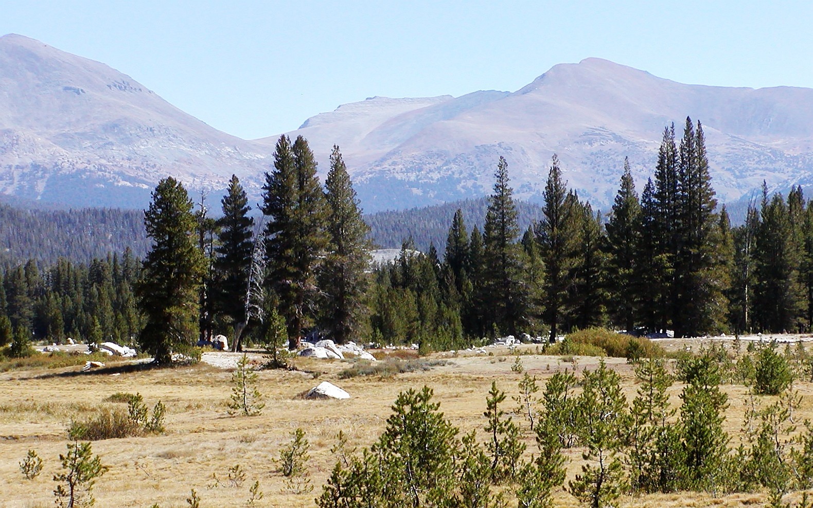 Yosemite NP  |  Tuolumne Meadows