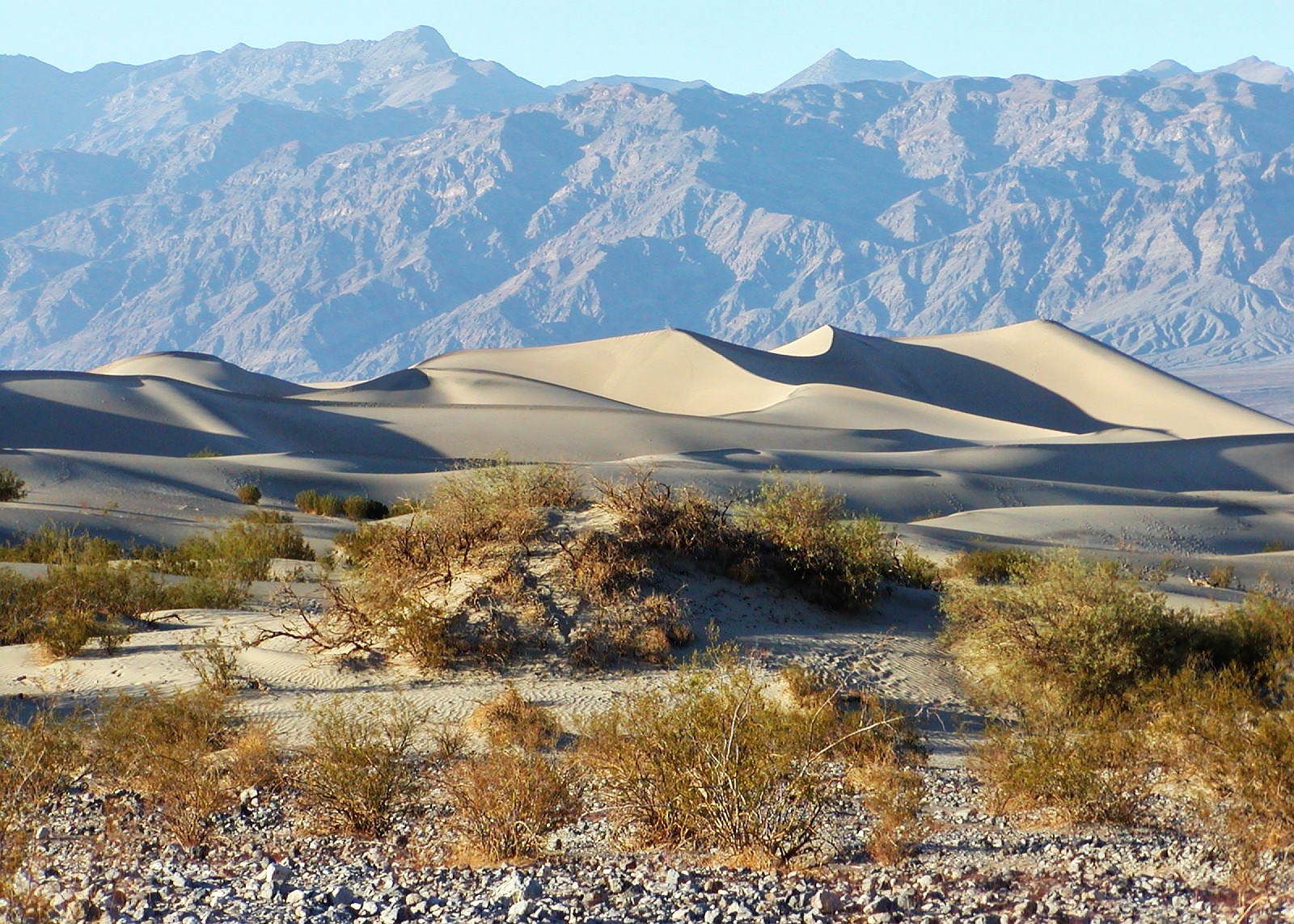 Death Valley  |  Dune field with nabkha