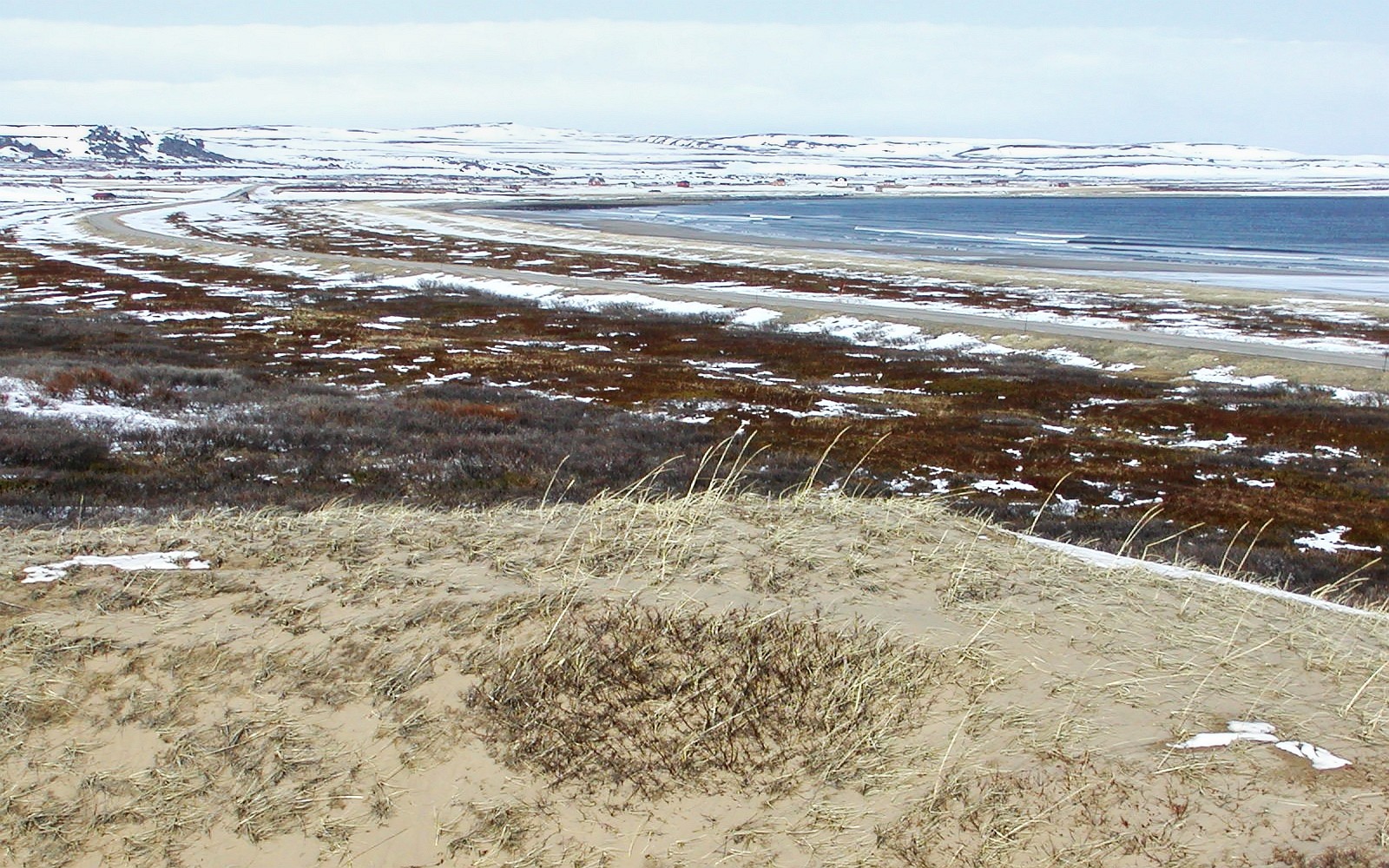 Komagvær  |  Coastal dunes
